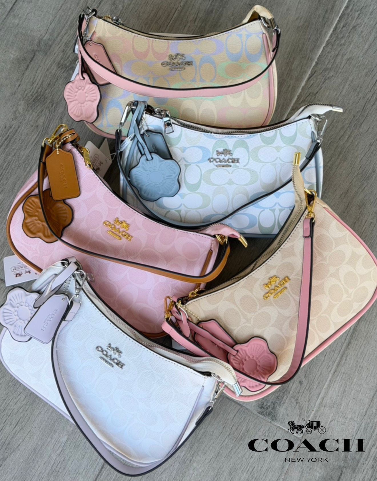Coach purse | Variety